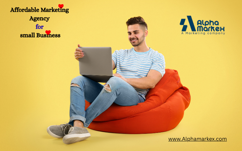 Affordable marketing agency for small business