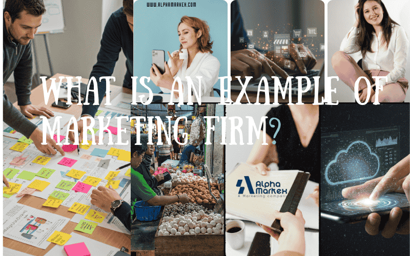 Illustration showing different types of marketing firms and the services they provide