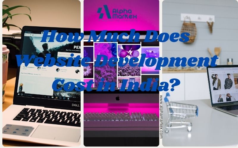 Static website development cost in India example layout